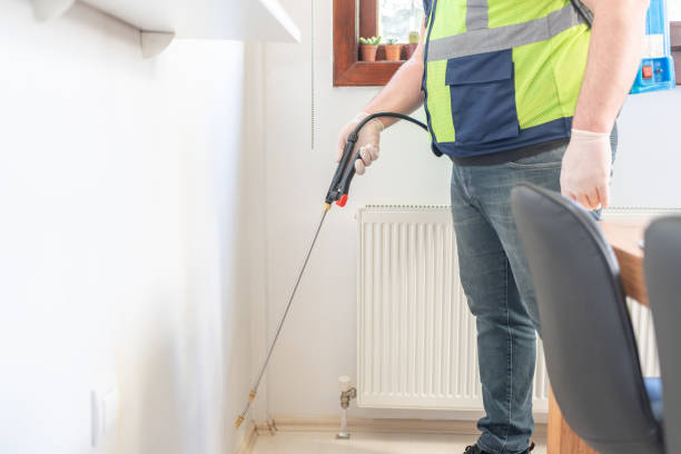 Best Best Pest Control Companies  in Ajo, AZ