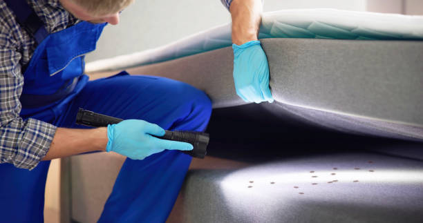 Best Rat Extermination Near Me  in Ajo, AZ
